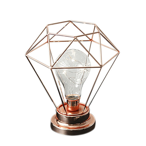 Image of Edison Style Metal Terrarium Lamp Warm White LEDs Wire Lights Battery Operated Night Lamp - Lovelylifezone